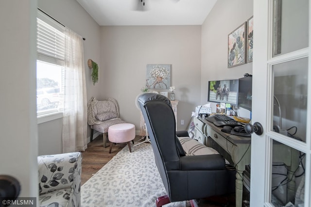 home office featuring wood-type flooring