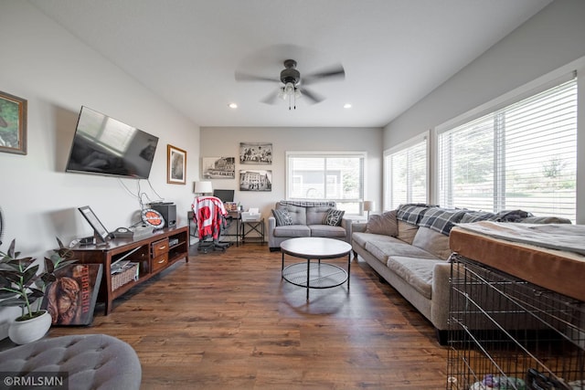 living room with ceiling fan and dark hardwood / wood-style floors