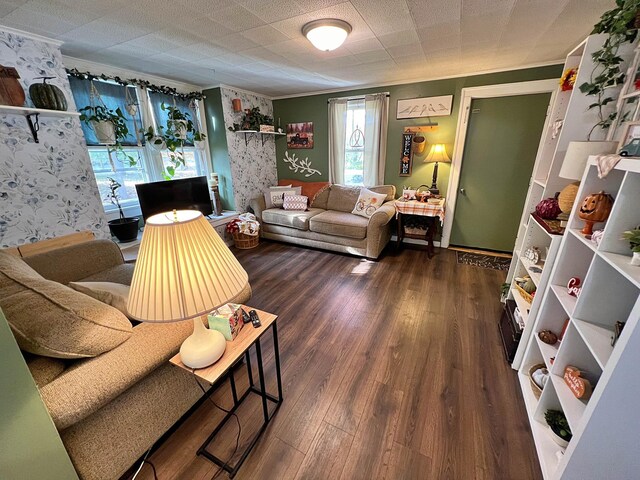 living room featuring ornamental molding and dark hardwood / wood-style flooring