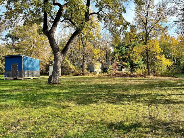 view of yard with a shed