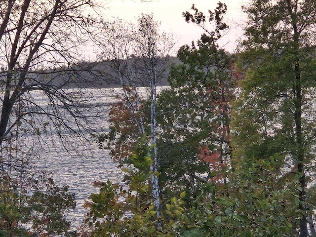 view of landscape featuring a water view