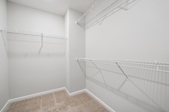 spacious closet with carpet