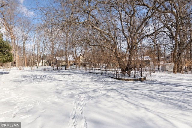 view of yard covered in snow