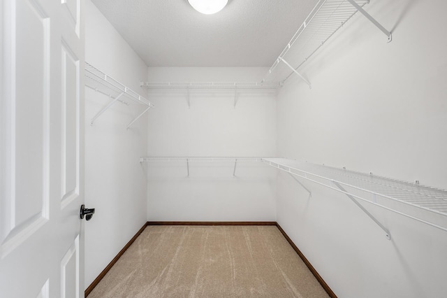 spacious closet featuring carpet flooring