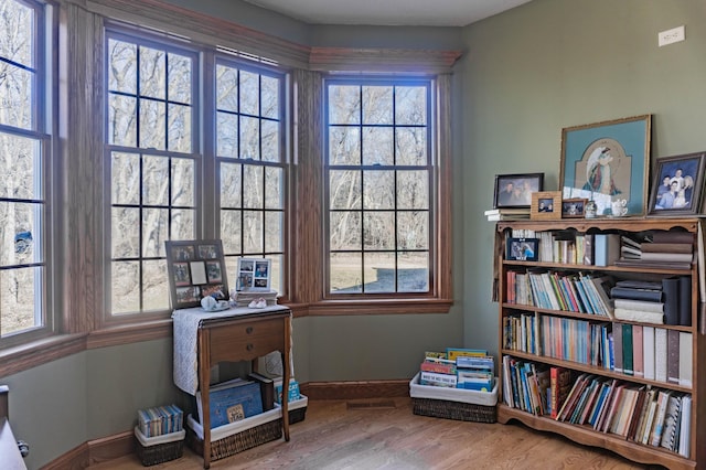 interior space featuring hardwood / wood-style flooring and plenty of natural light