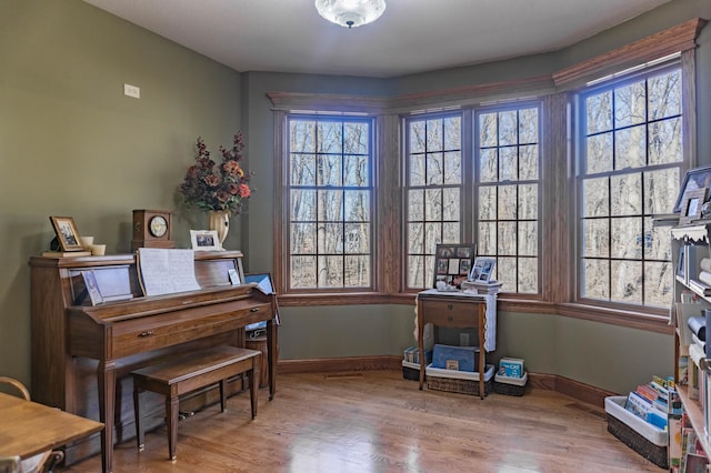 miscellaneous room featuring hardwood / wood-style flooring and plenty of natural light