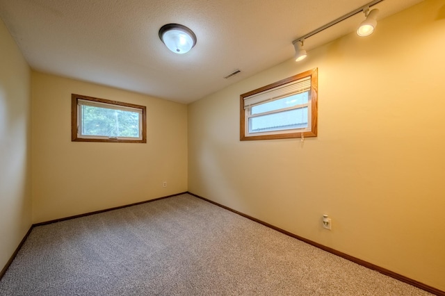 carpeted spare room with a textured ceiling, a wealth of natural light, and track lighting