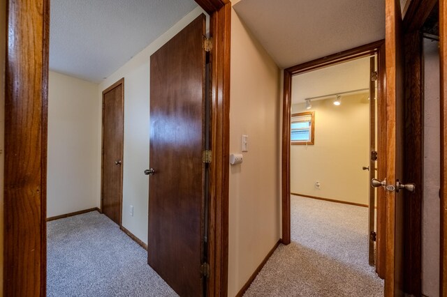 hall featuring rail lighting, light colored carpet, and a textured ceiling