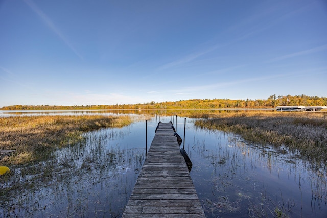 dock area with a water view