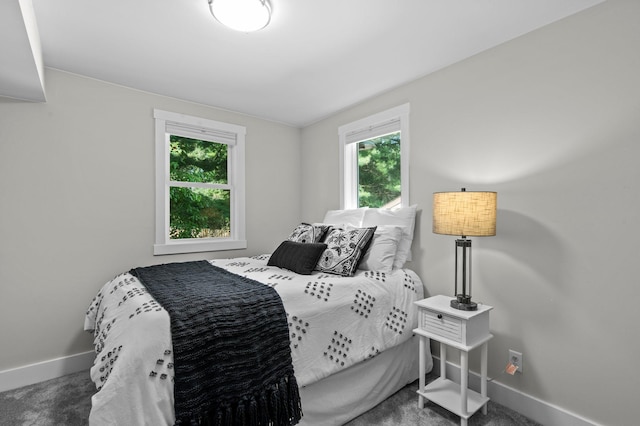 carpeted bedroom with multiple windows