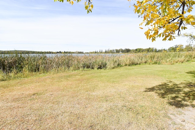 view of yard with a rural view