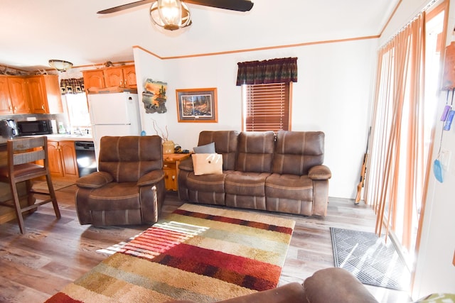 living room featuring ceiling fan, ornamental molding, and light hardwood / wood-style flooring