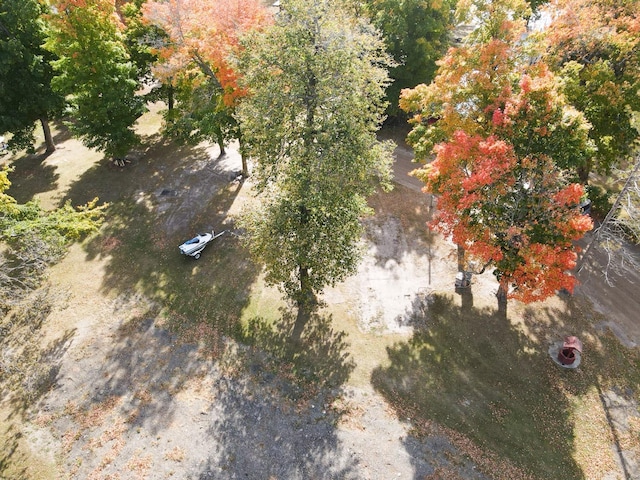 bird's eye view