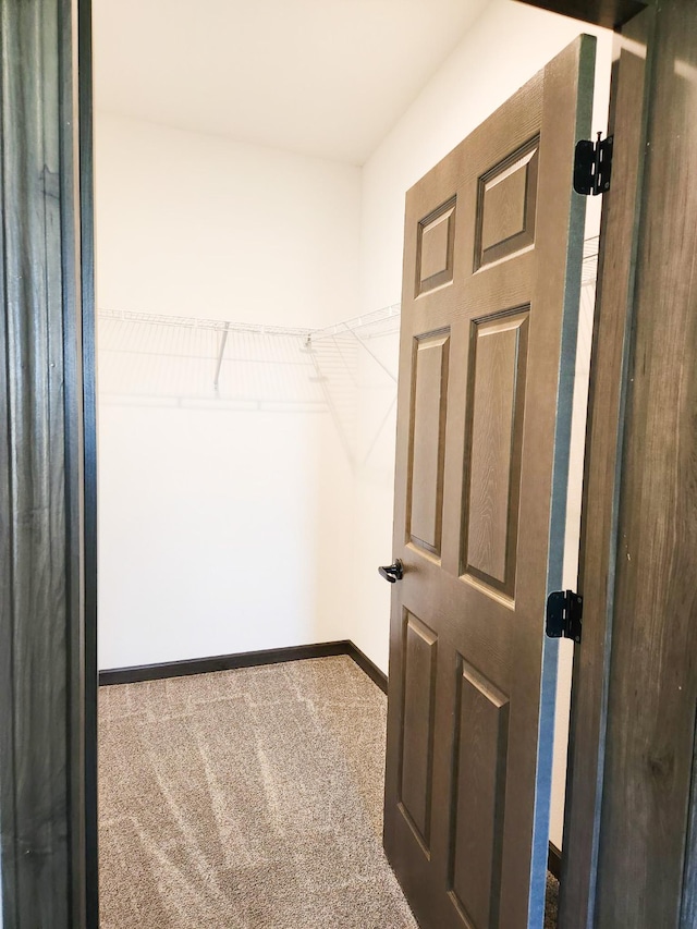 walk in closet with carpet