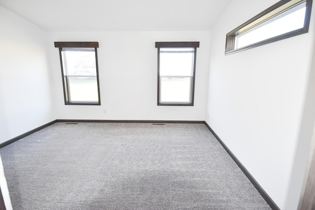 carpeted empty room featuring a wealth of natural light