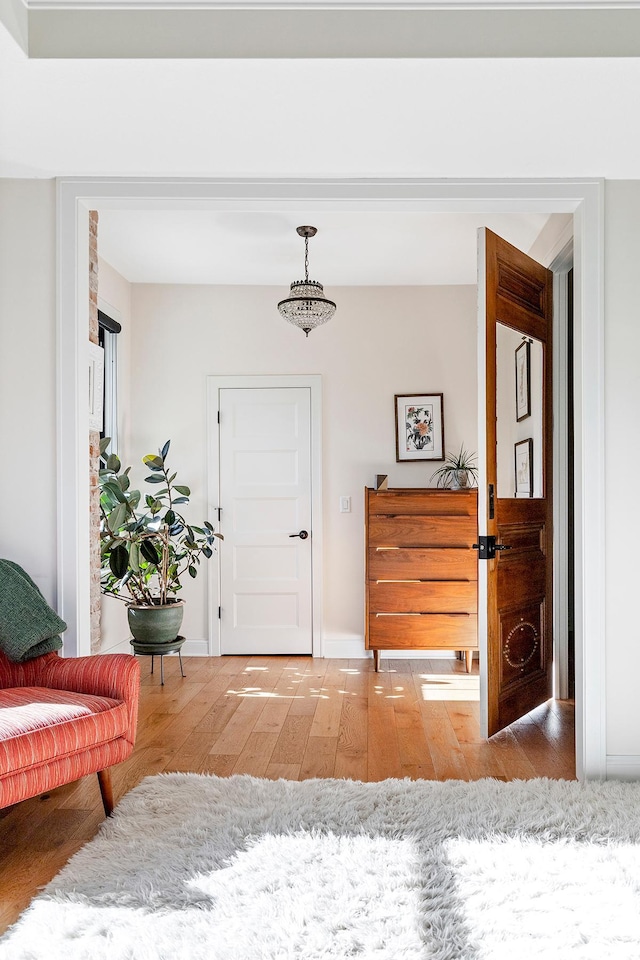 foyer entrance featuring hardwood / wood-style flooring