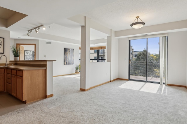 interior space with rail lighting, light colored carpet, sink, and a textured ceiling