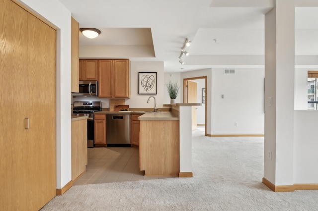 kitchen featuring light carpet, appliances with stainless steel finishes, sink, and rail lighting