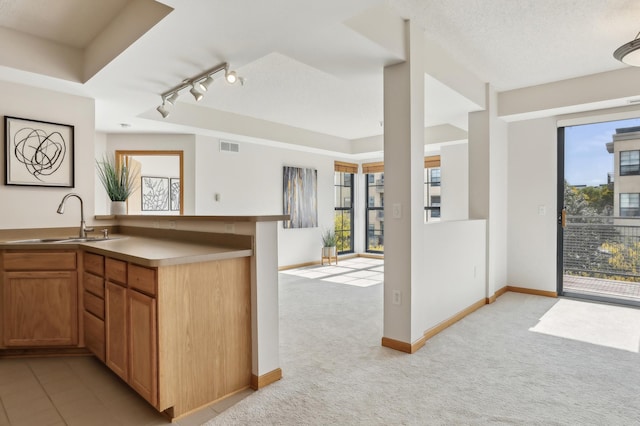 kitchen featuring rail lighting, light carpet, and a healthy amount of sunlight