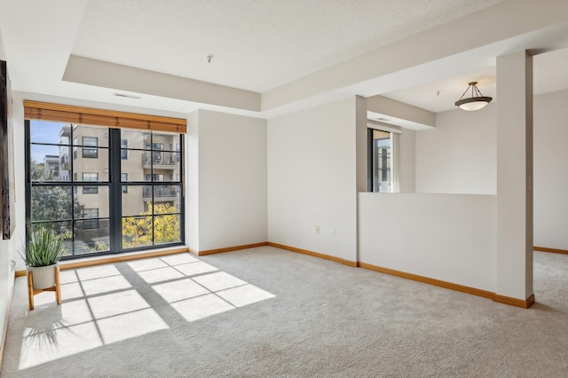 carpeted empty room featuring a raised ceiling, plenty of natural light, and a textured ceiling