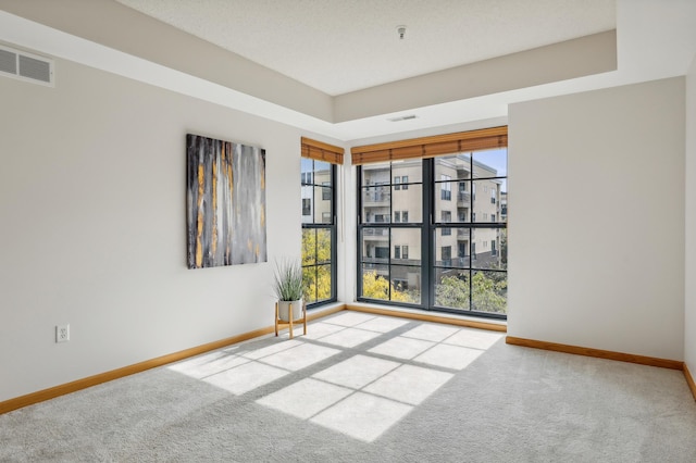 carpeted spare room featuring a wealth of natural light, a tray ceiling, and a textured ceiling