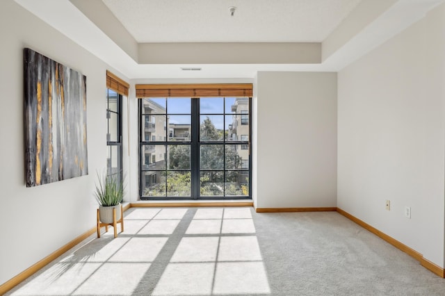 spare room with carpet floors and a raised ceiling