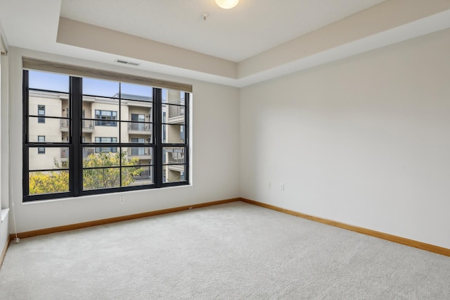 unfurnished room featuring a tray ceiling and carpet flooring