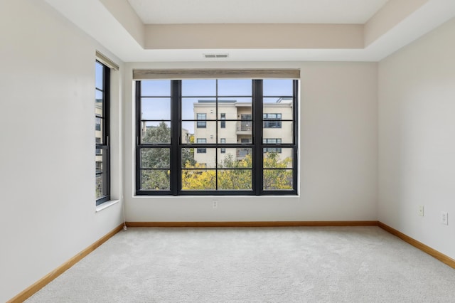 unfurnished room featuring a tray ceiling and carpet flooring