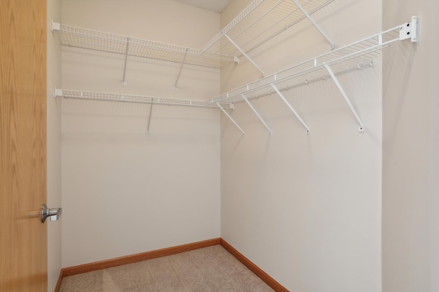 walk in closet featuring carpet floors