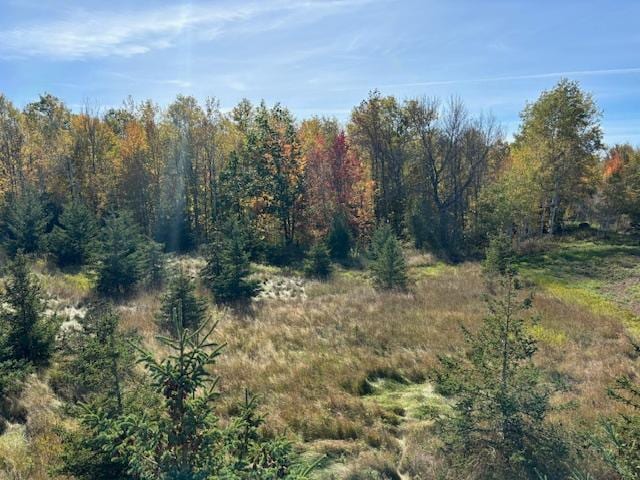 Listing photo 2 for NA Benson Rd, Orienta Twp WI 54865