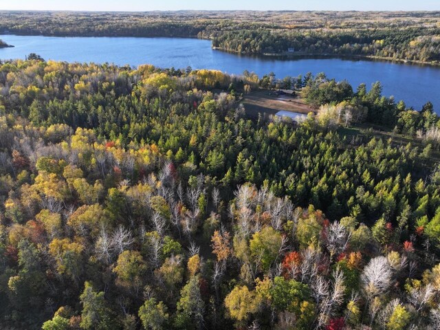 24996 Horseshoe Rd, Akeley Twp, MN 56433 - photo 2