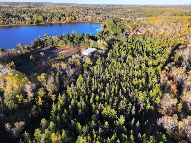 24996 Horseshoe Rd, Akeley Twp, MN 56433 - photo 6