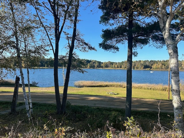 24996 Horseshoe Rd, Akeley Twp, MN 56433 - photo 23