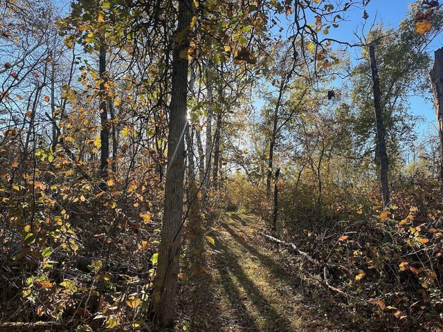 24996 Horseshoe Rd, Akeley Twp, MN 56433 - photo 24