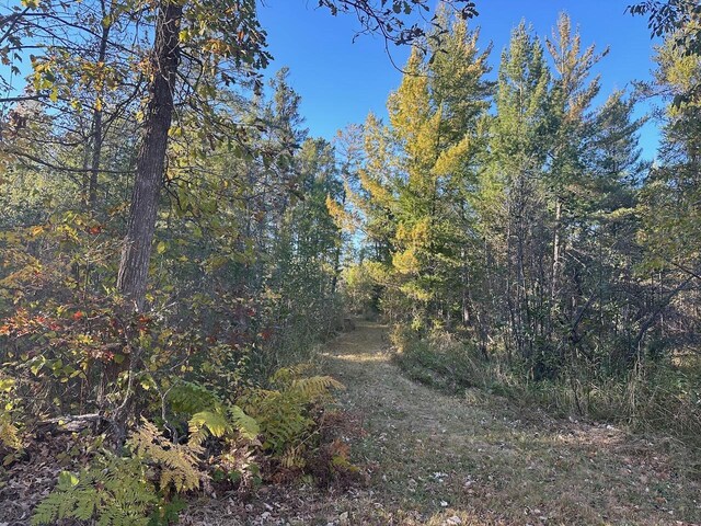 24996 Horseshoe Rd, Akeley Twp, MN 56433 - photo 27