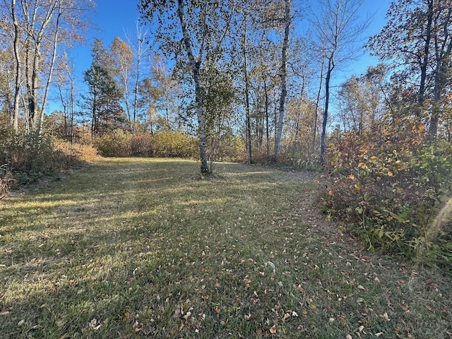 24996 Horseshoe Rd, Akeley Twp, MN 56433 - photo 28