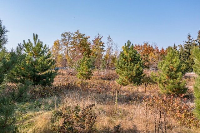 view of landscape