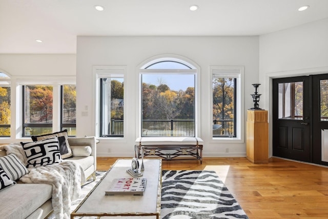 living room featuring light hardwood / wood-style flooring and plenty of natural light