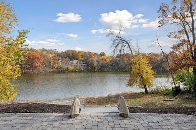 property view of water