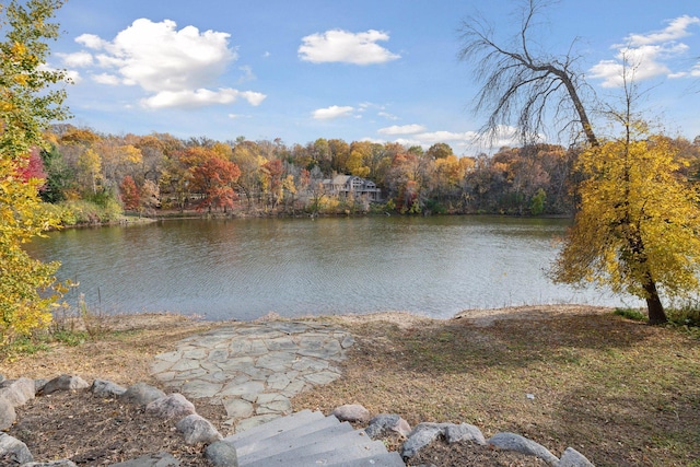 property view of water