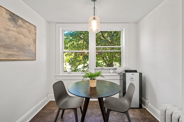 dining space featuring radiator heating unit