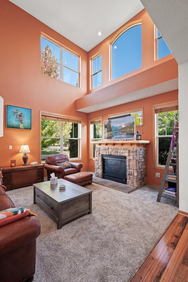 living room with hardwood / wood-style flooring and a fireplace