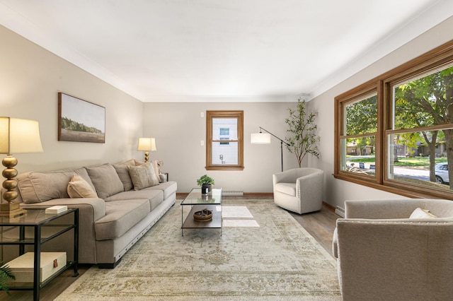 living room featuring ornamental molding and hardwood / wood-style flooring