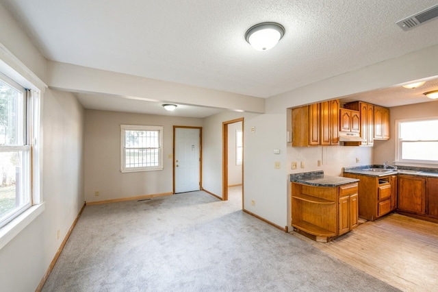 kitchen featuring plenty of natural light, light colored carpet, and a textured ceiling