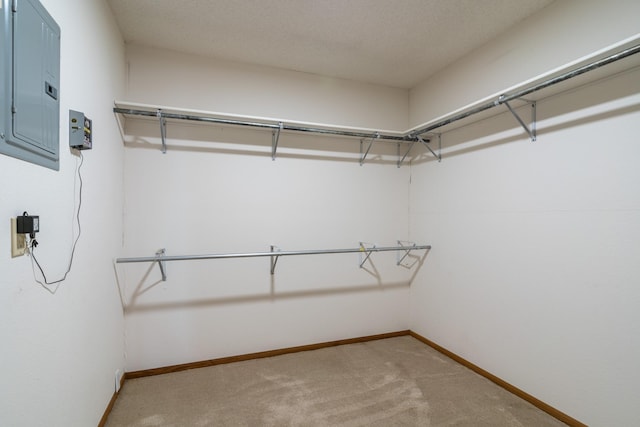 walk in closet featuring electric panel and carpet flooring