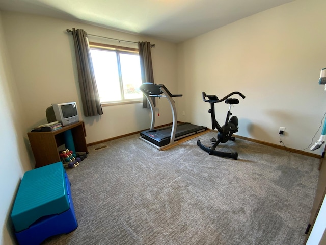 workout room featuring carpet