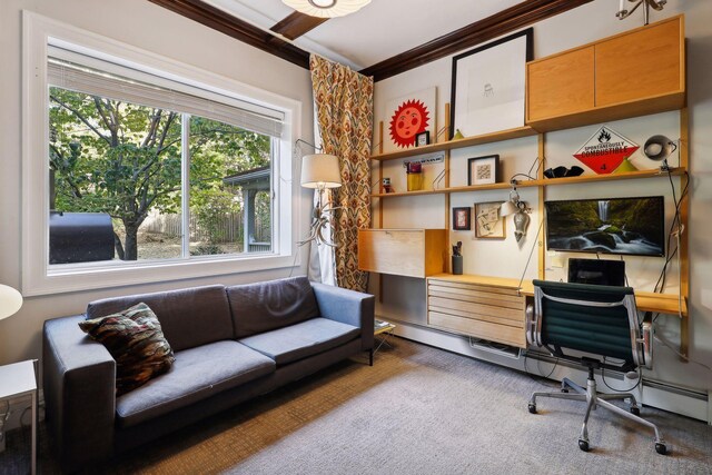 1920 Pillsbury Ave S, Minneapolis, MN 55403 - office area featuring ornamental molding and a baseboard heating unit