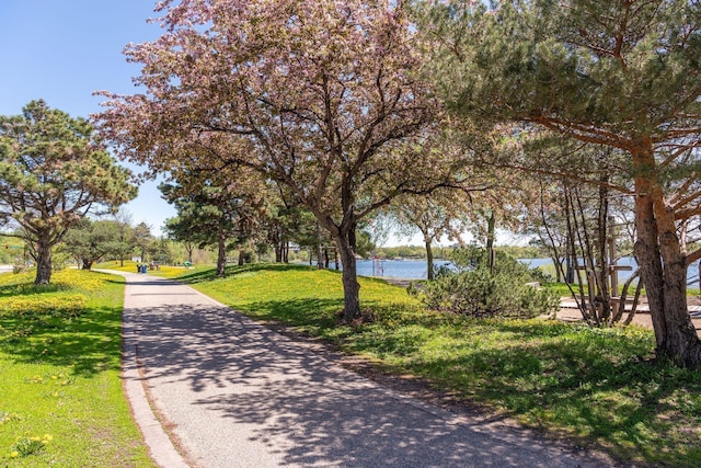 view of property's community with a water view and a lawn