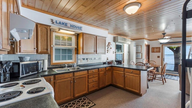 8737 123rd Ave SE, Lake Lillian, MN 56253 - kitchen with a sink, under cabinet range hood, white electric range oven, a peninsula, and wood ceiling