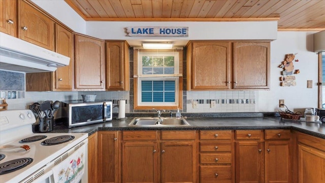 8737 123rd Ave SE, Lake Lillian, MN 56253 - kitchen with white electric stove, a sink, stainless steel microwave, wood ceiling, and under cabinet range hood